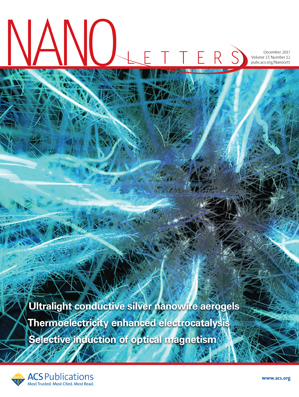 Nanoscale-Agglomerate-Mediated Heterogeneous Nucleation