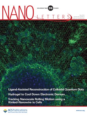 Condensation Induced Blistering as a Measurement Technique for the Adhesion Energy of Nanoscale Polymer Films
